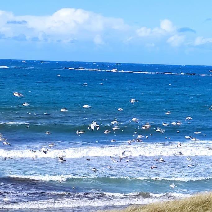 Gite Kerbourc'H Charmant Et Confortable, Mer Et Plages A 3Km, Ploudalmezeau Exterior foto